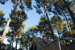 Forêt de pins au camping 5 étoiles Lou Pignada dans les Landes 