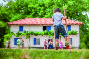 Petit échassier devant une maison traditionnelle landaise dans le parc régional des Landes et Eco-musée de Marquèze