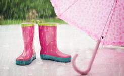 Les activités à faire dans les Landes quand il pleut 