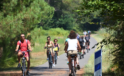  Itinéraires et pistes cyclables dans le Parc naturel Régional des Landes de Gascogne avec le camping le Lou Pignada Landes